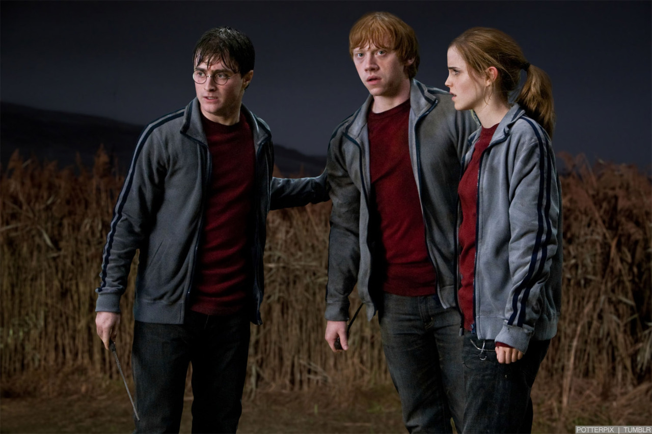 hpfilmsrdm1promo138.jpg