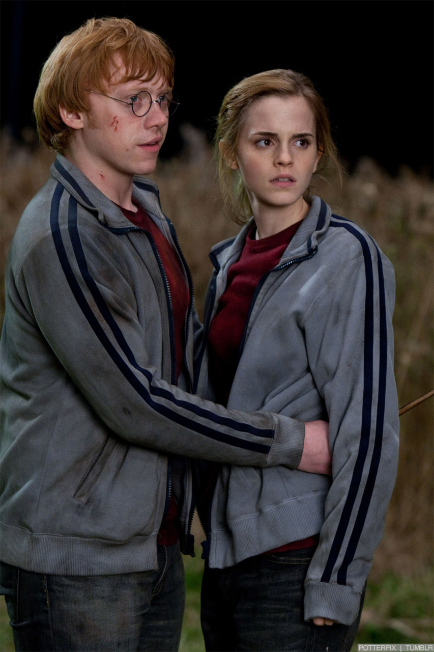 hpfilmsrdm1promo144.jpg