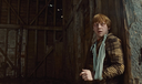 hpfilmsrdm1promo027.jpg