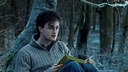 hpfilmsrdm1promo031.jpg