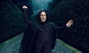 hpfilmsrdm1promo100.jpg