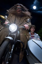 hpfilmsrdm1promo139.jpg