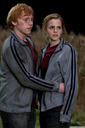 hpfilmsrdm1promo144.jpg