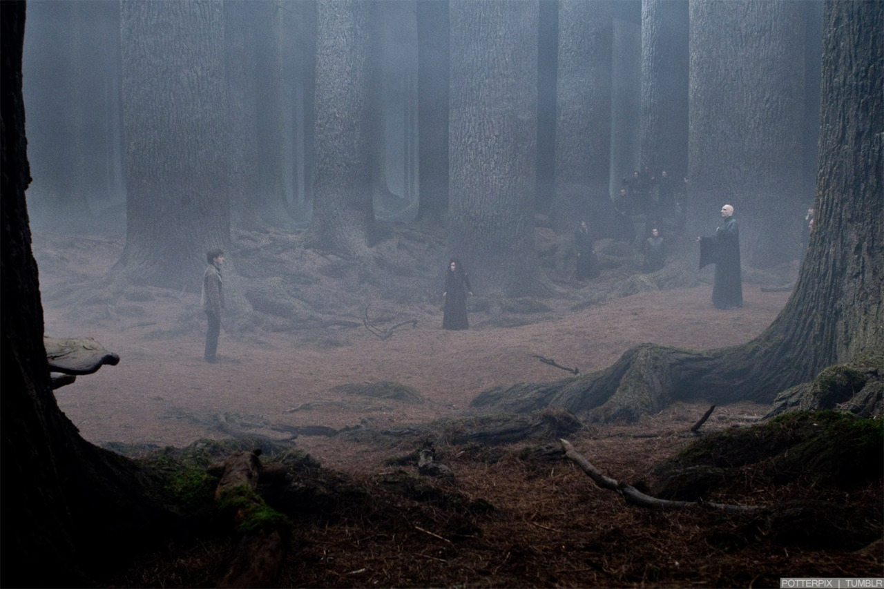 hpfilmsrdm1promo082.jpg