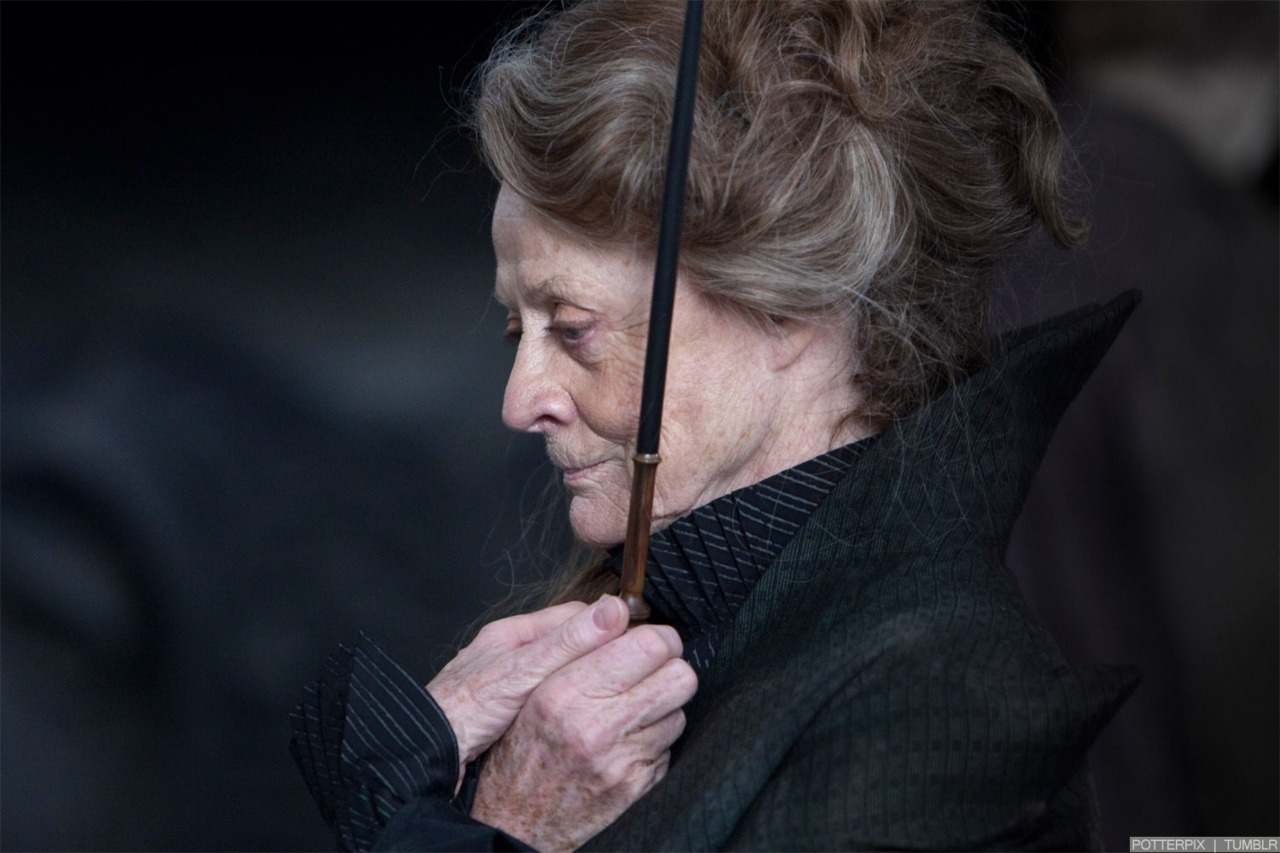hpfilmsrdm1promo087.jpg