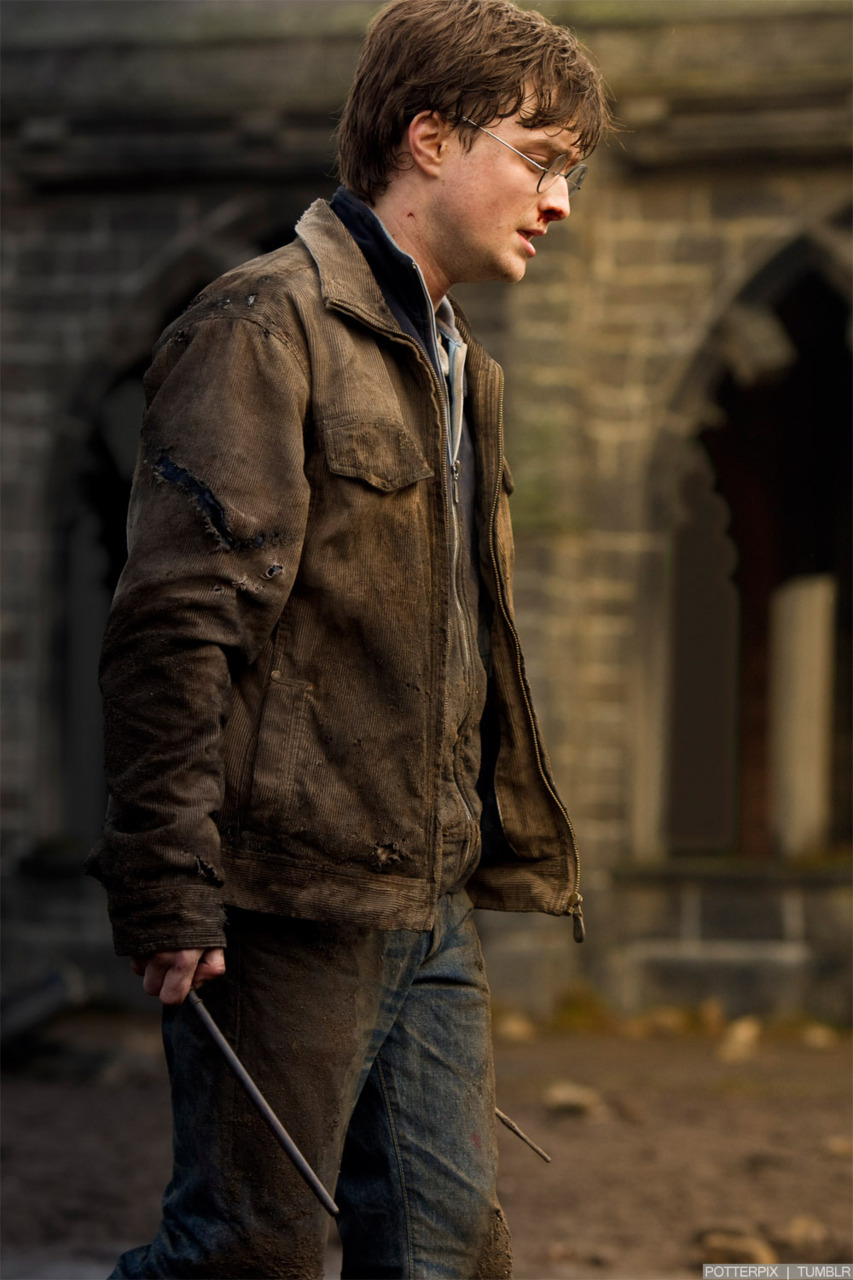 hpfilmsrdm1promo096.jpg