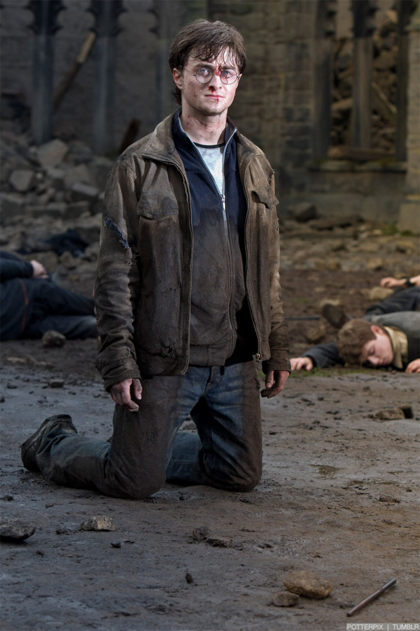 hpfilmsrdm1promo097.jpg