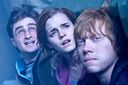 hpfilmsrdm1promo069.jpg