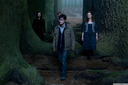 hpfilmsrdm1promo091.jpg