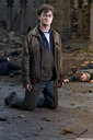 hpfilmsrdm1promo097.jpg