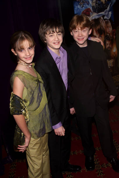 hpfilmsedspremierenewyorkgroupe001.jpg