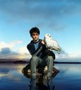 hpfilmspdapersoharrypotter023.jpg