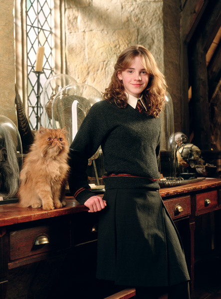 hpfilmspdapersohermionegranger019.jpg