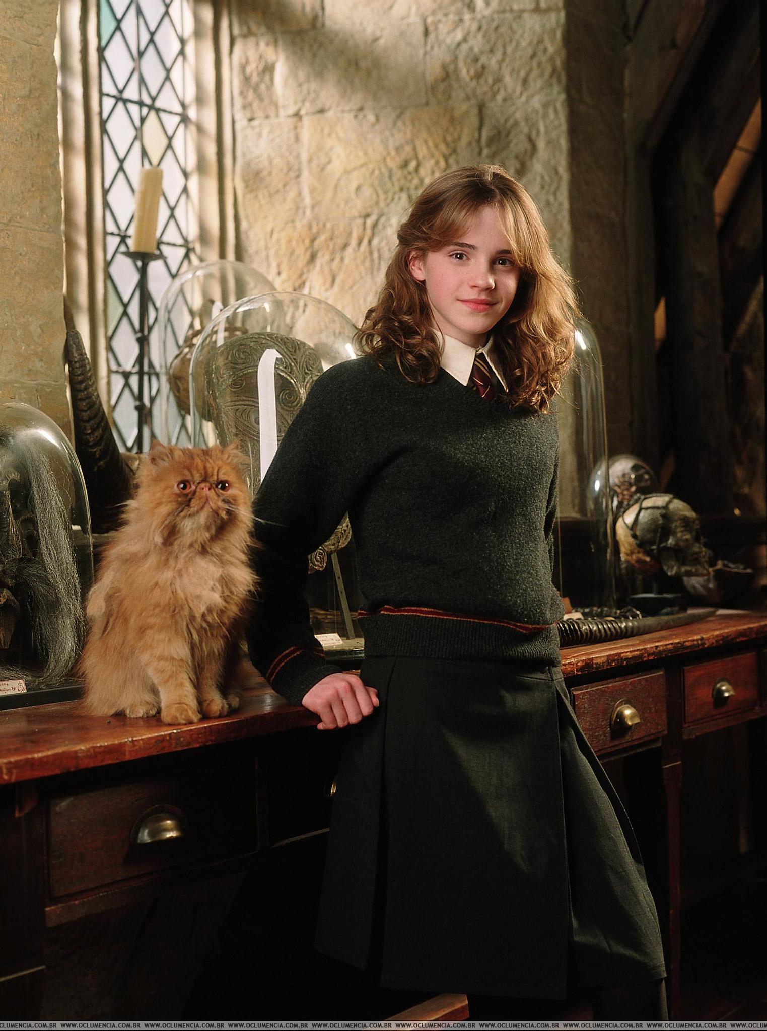 hpfilmspdapersohermionegranger019bis.jpg