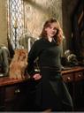 hpfilmspdapersohermionegranger019bis.jpg