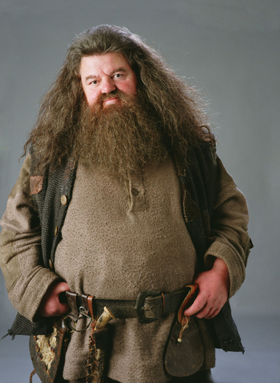 hpfilmspdapersorubeushagrid001bis.jpg