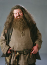 hpfilmspdapersorubeushagrid001bis.jpg
