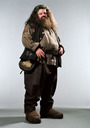 hpfilmspdapersorubeushagrid002.jpg