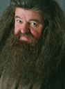 hpfilmspdapersorubeushagrid003.jpg