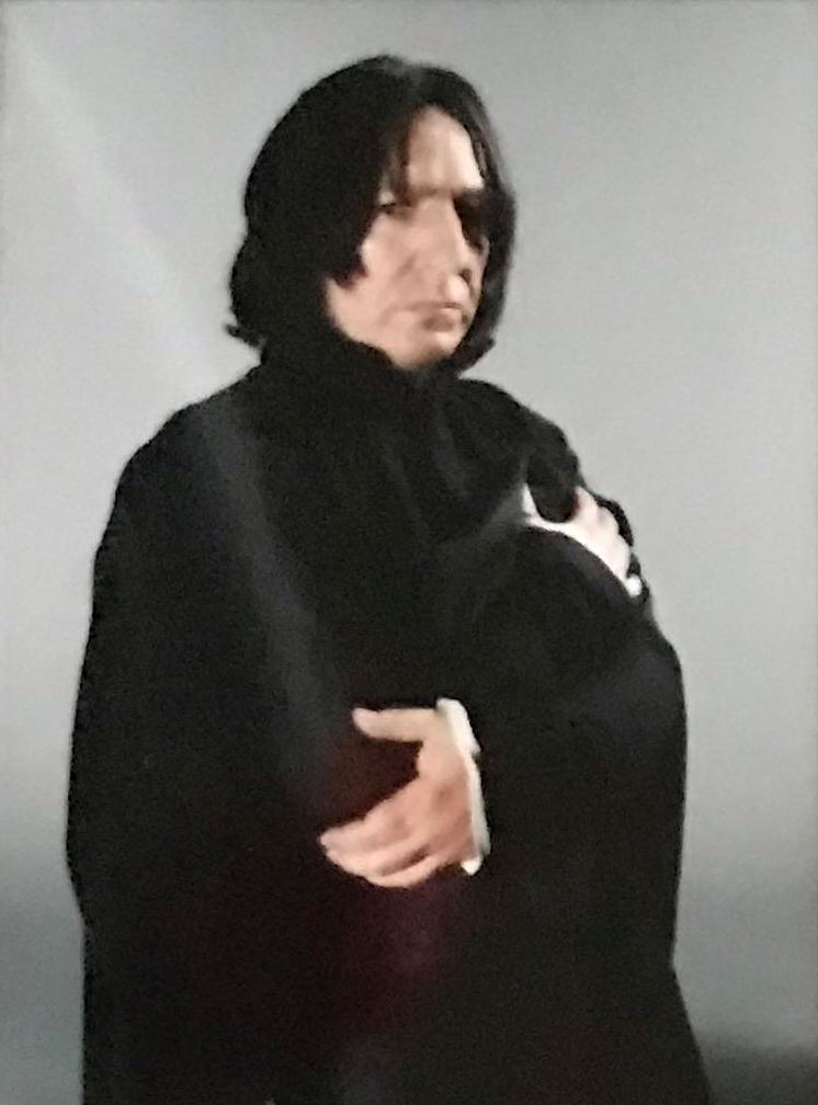 hpfilmspdapersoseverusrogue003.jpg