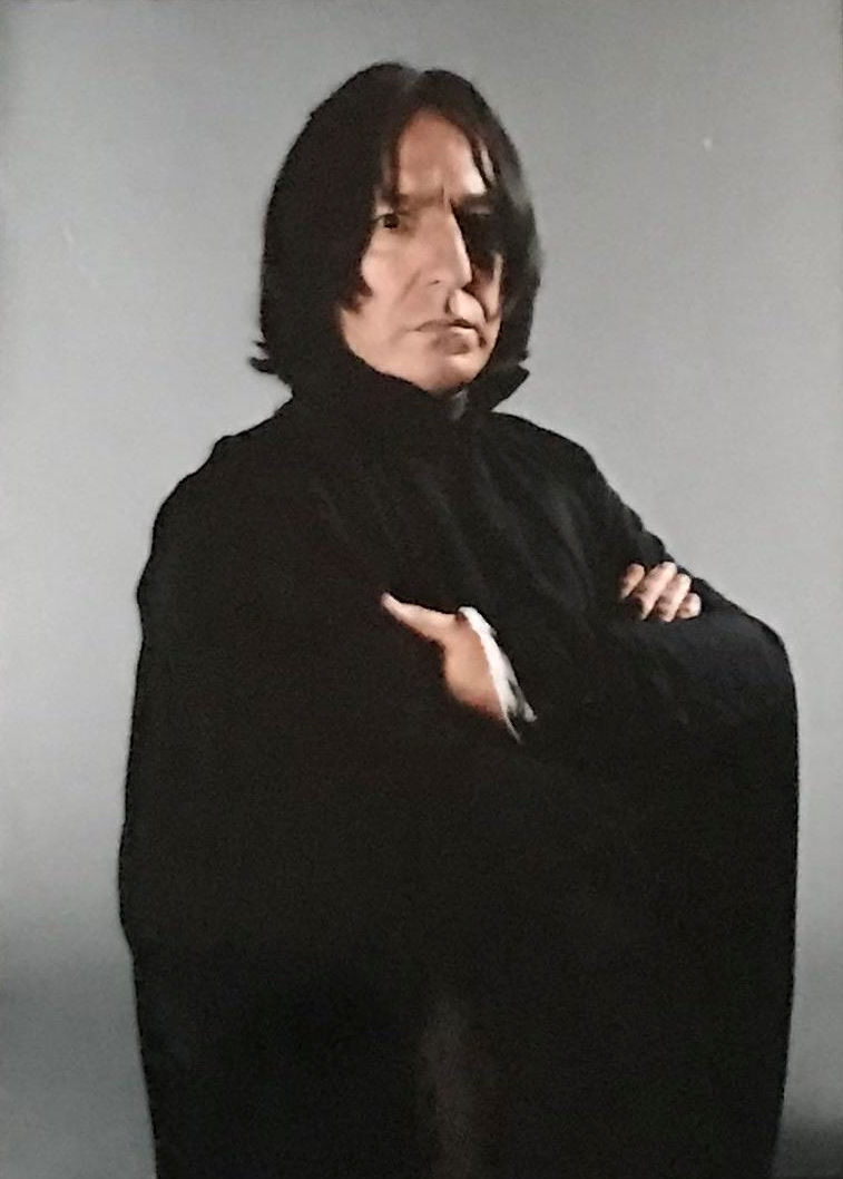 hpfilmspdapersoseverusrogue004.jpg