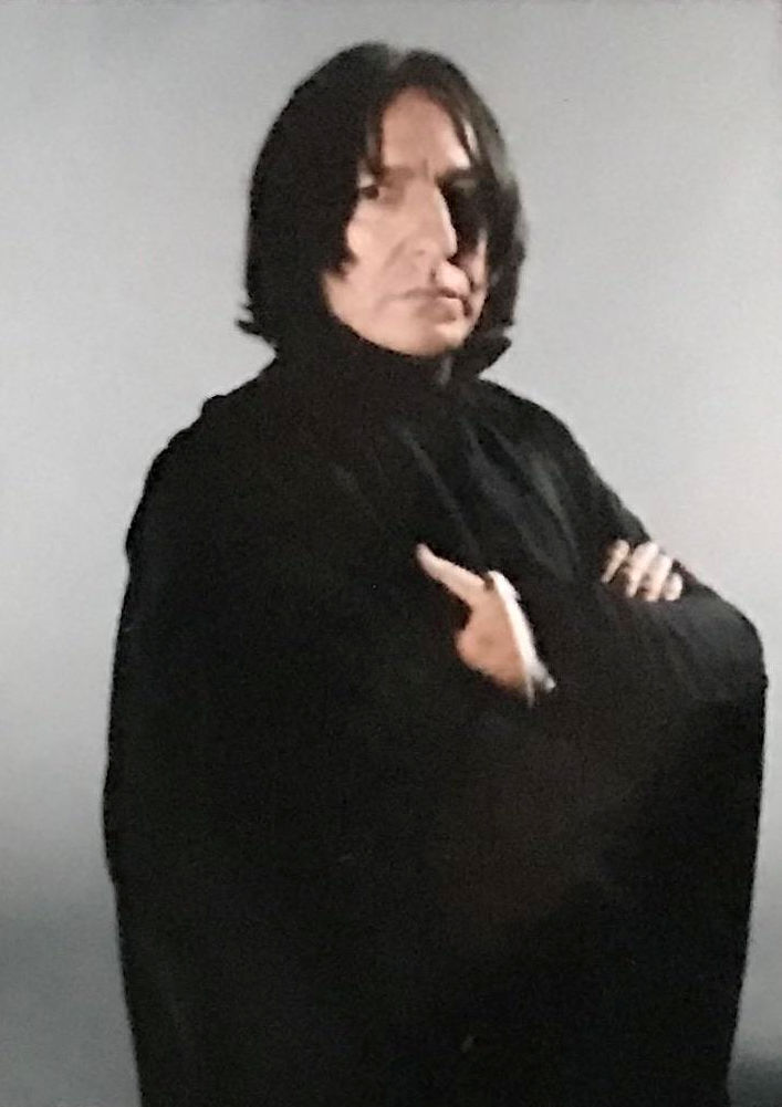hpfilmspdapersoseverusrogue005.jpg