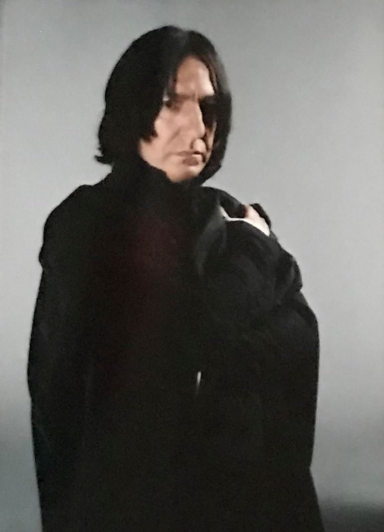 hpfilmspdapersoseverusrogue006.jpg