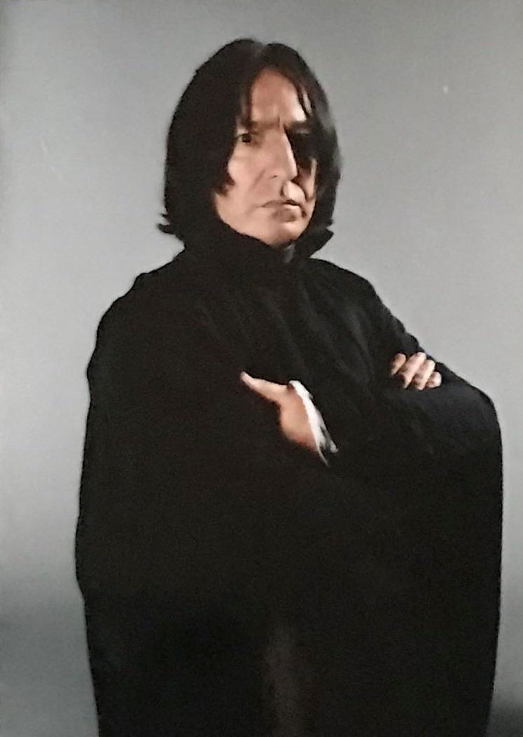 hpfilmspdapersoseverusrogue007.jpg