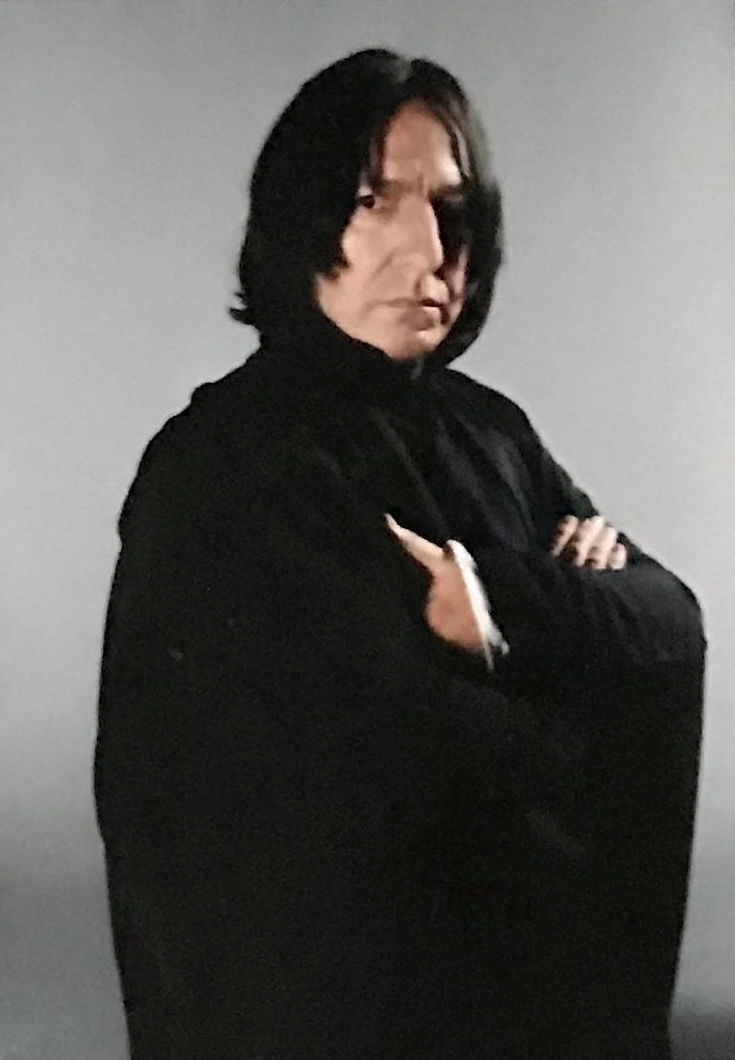 hpfilmspdapersoseverusrogue008.jpg