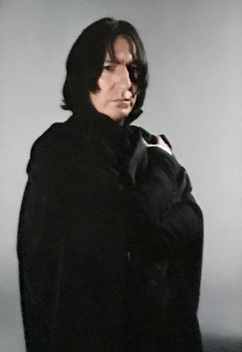 hpfilmspdapersoseverusrogue009.jpg