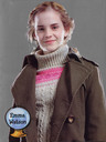 hpfilmscdfpersohermionegranger024.jpg