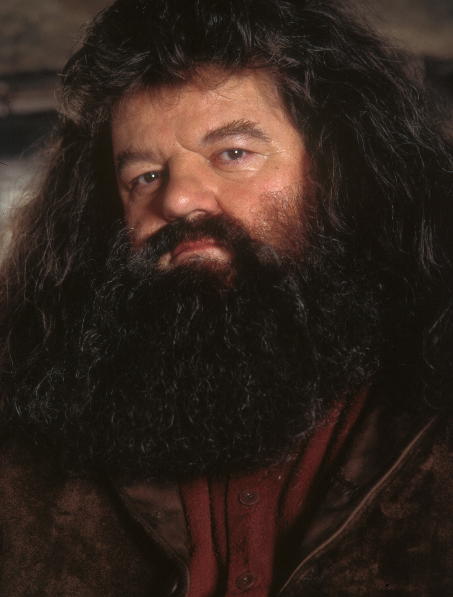 hpfilmsedspersorubeushagrid005.jpg