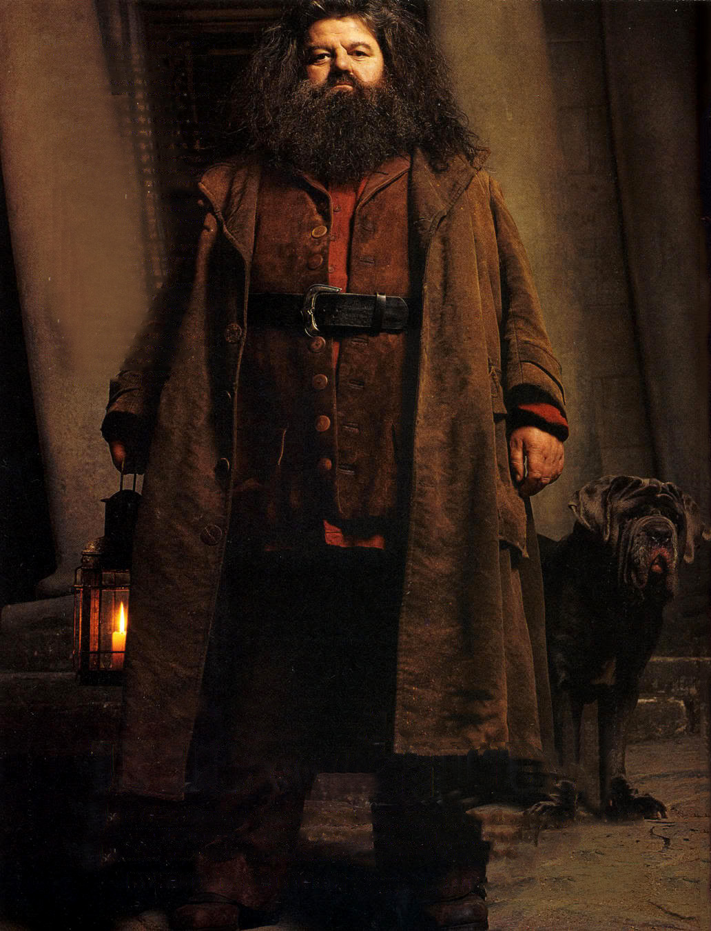 hpfilmsedspersorubeushagrid006.jpg
