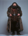 hpfilmsedspersorubeushagrid001.jpg