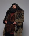 hpfilmsedspersorubeushagrid002.jpg