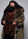 hpfilmsedspersorubeushagrid003.jpg