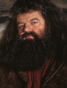 hpfilmsedspersorubeushagrid005.jpg