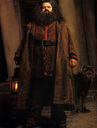 hpfilmsedspersorubeushagrid006.jpg