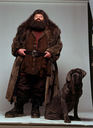 hpfilmsedspersorubeushagrid007.jpg