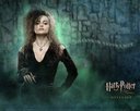 hpfilmsodppersobellatrixlestrange010.jpg
