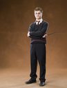 hpfilmsodppersodanielradcliffe034.jpg
