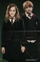 hpfilmsodppersoronhermione001.jpg