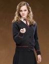 hpfilmsodppersohermionegranger005.jpg