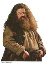 hpfilmsodppersorubeushagrid001.jpg
