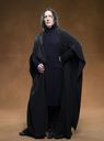 hpfilmsodppersoseverusrogue002.jpg