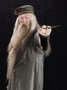 hpfilmspsmpersoalbusdumbledore003.jpg