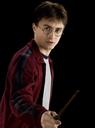 hpfilmspsmpersoharrypotter003.jpg