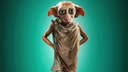 hpfilmscdspersodobby002.jpg