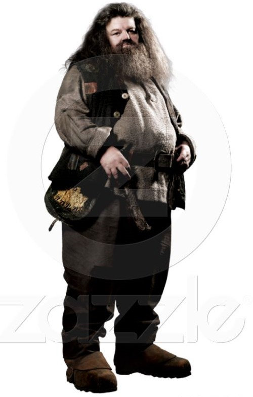 hpfilmspsmpersorubeushagrid002.jpg
