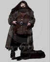 hpfilmspsmpersorubeushagrid001.jpg